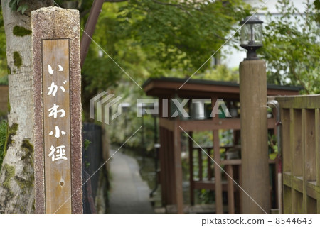 Gujo Hachiman · Iigawa small diameter Gujo Hachiman · Iigawa small diameter 8544643