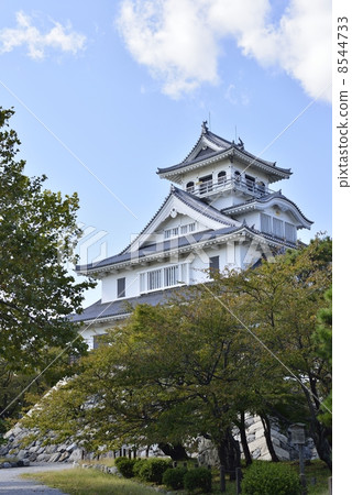 Nagahama Castle (Nagahama Castle History Museum) 8544733