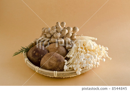 Assorted mushrooms 8544845