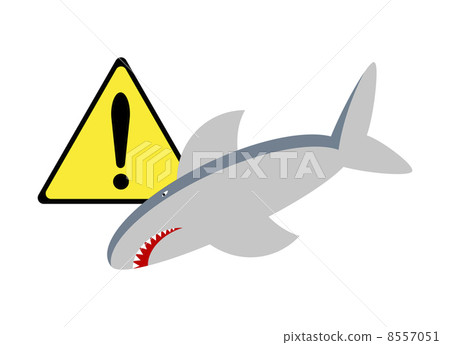 Attention to sharks 8557051
