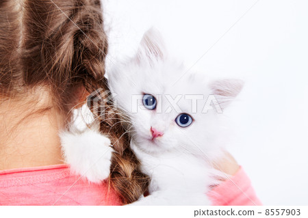 Girl with white kitty 8557903