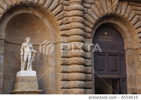 Pitti Palace 8558619