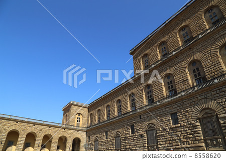 Pitti Palace Pitti Palace 8558620
