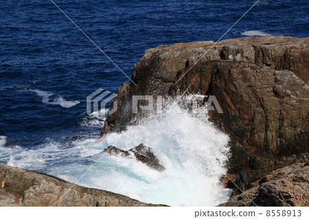 Hinomisarcosa的波浪3201310135 dm 2 8558913