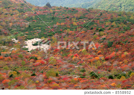 Ubaketaira Ubaketaira 8558932