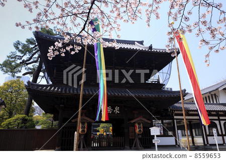 東京·Sakura Bloom Sengakuji 8559653