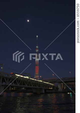 Christmas night 8559750