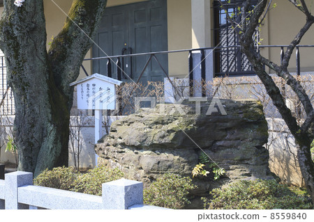 Tokyo Metropolis · Sengakuji Temple with blood stain and plum 8559840