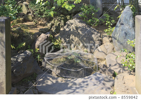 Tokyo Metropolitan Government · Sengakuji Temple Kirara Uenosuke Washed Well 8559842