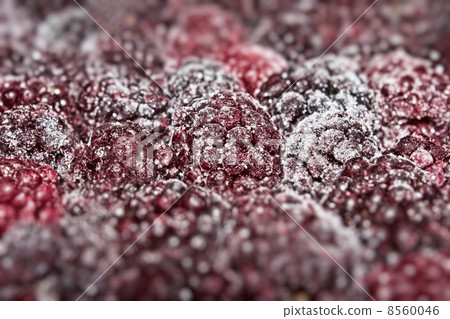 Juicy blackberry 8560046