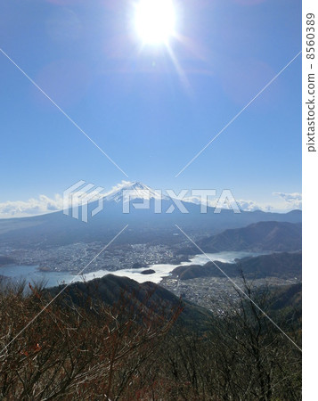 Kawaguchiko和富士山在秋葉 8560389