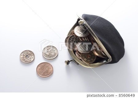 Purse and coin 8560649