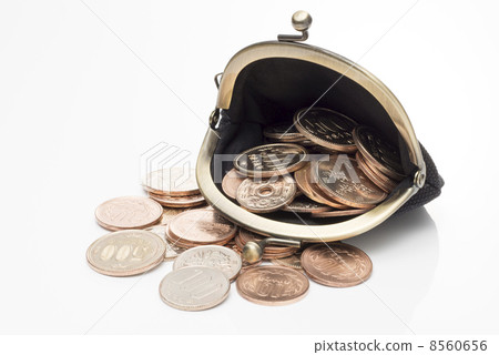 Coin purse and wallet 8560656