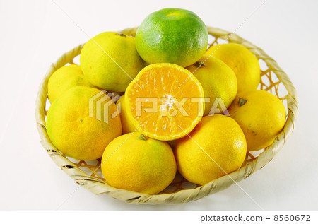 Mandarin serving as a miser Mandarin serving as a miser 8560672
