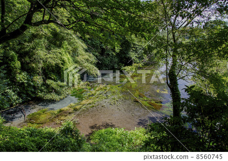 Kakita河春天春天 -  2 8560745