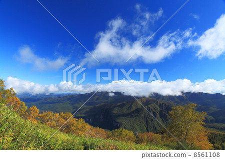 北海道大雪山秋天秋天 北海道大雪山秋天秋天 8561108