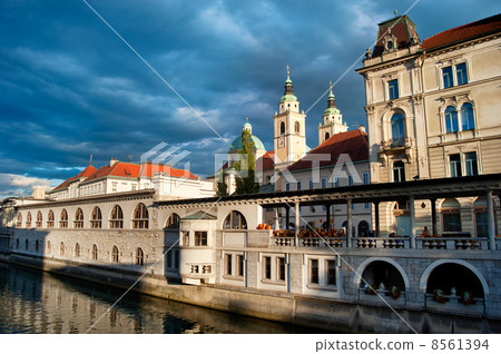Central Market of Ljubljana 8561394