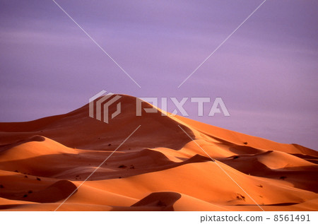 Occidental desert sand dunes 8561491
