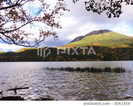 Onneto 1 Onneto 1 8561859