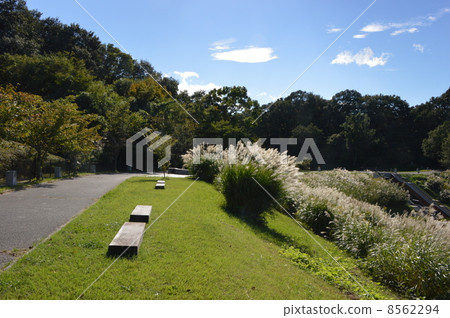 Akihiwa公園的八王子公園 Akihiwa公園的八王子公園 8562294
