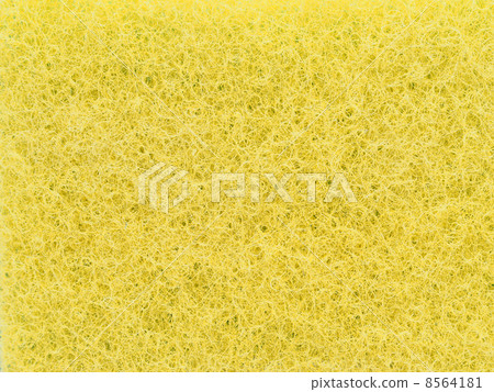 sponge background sponge background 8564181