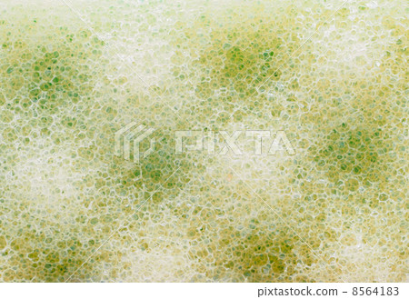 sponge background sponge background 8564183