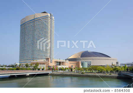 Sea Hawk and Yahoo auction dome 8564308