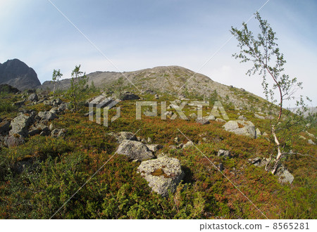 Khibiny mountains Khibiny mountains 8565281