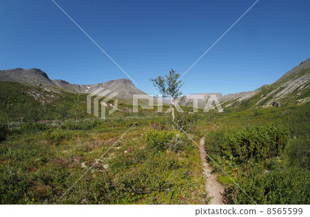 road in the mountains 8565599