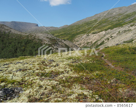 road in the mountains 8565617