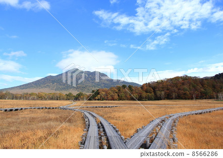 秋天的Oze 秋天的Oze 8566286