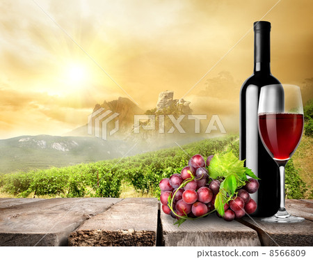 Wine and vineyard Wine and vineyard 8566809