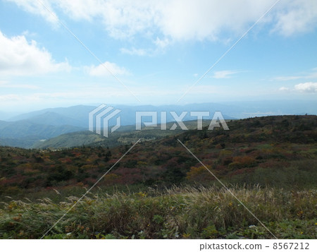 Zao Miyagi Zao Miyagi 8567212