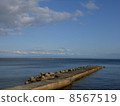 Kobe City Shioya Jetty 8567519
