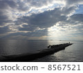 A jetty 8567521