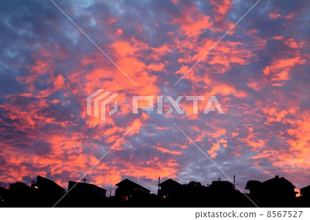 日落 8567527