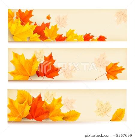 Three autumn banners with colorful leaves Vector - Stock Illustration ...
