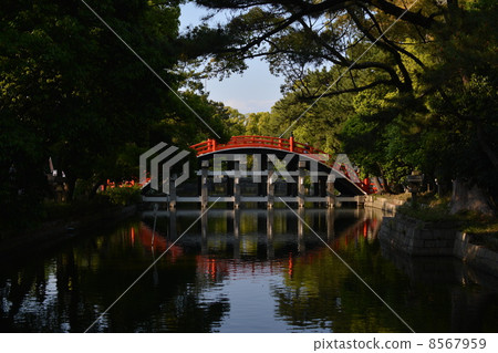 Sumiyoshi Taisha的太鼓橋(側身) Sumiyoshi Taisha的太鼓橋(側身) 8567959