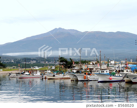 Chokai and Yodogawa Fishing Port Chokai and Yodogawa Fishing Port 8568020