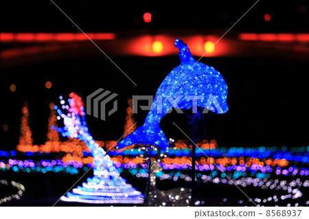 Illuminations of dolphins Illuminations of dolphins 8568937