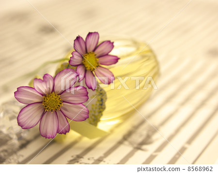 Flowers and small bottles Flowers and small bottles 8568962