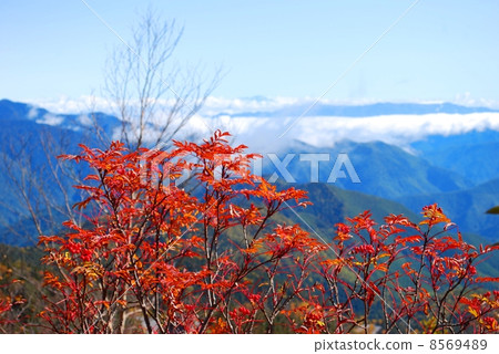 落在Norikura Kogen 8569489