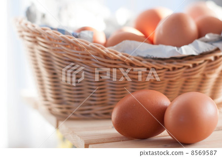 Egg Egg 8569587