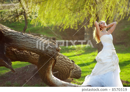 Beautiful bride Beautiful bride 8570319