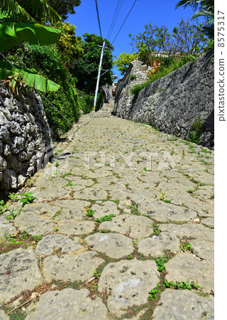 Cobble 8575317