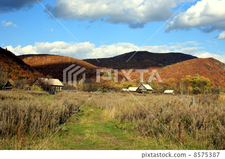 Road to village 8575387