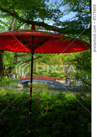 Peony Festival 8575808