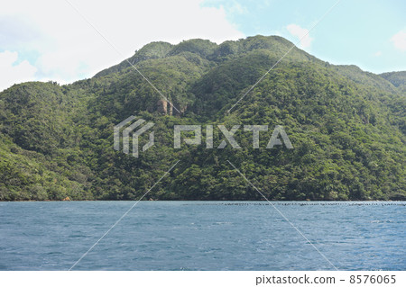Iriomotejima boat float bay Iriomotejima boat float bay 8576065