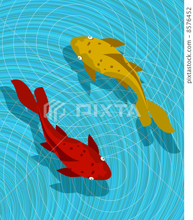 Koi fish scene 8576452