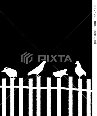 Pigeons on a fence Pigeons on a fence 8576470
